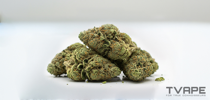 Variedad de marihuana Diesel: una vista de cerca