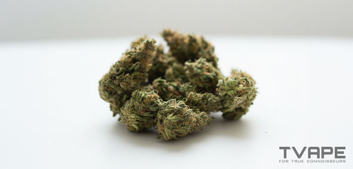 Variedad h&iacute;brida de marihuana: una vista de cerca