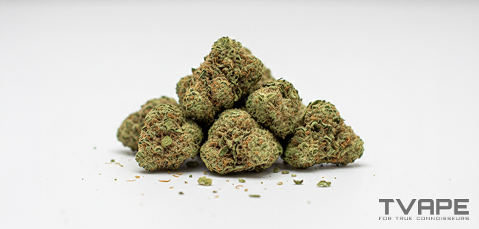 Variedad de marihuana &iacute;ndica: una vista de cerca