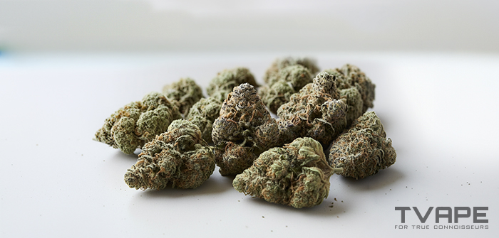 Variedad de marihuana Kush: una vista de cerca