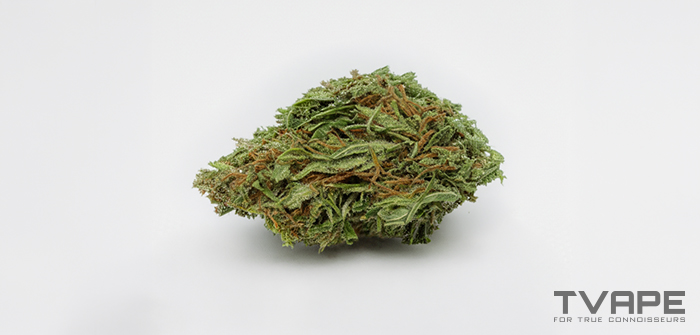 Variedad de marihuana sativa: una vista de cerca