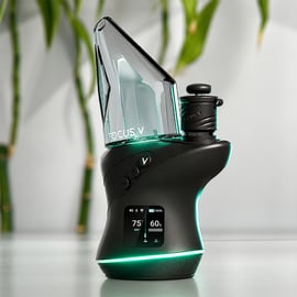 Focus V Carta 3 E-Rig