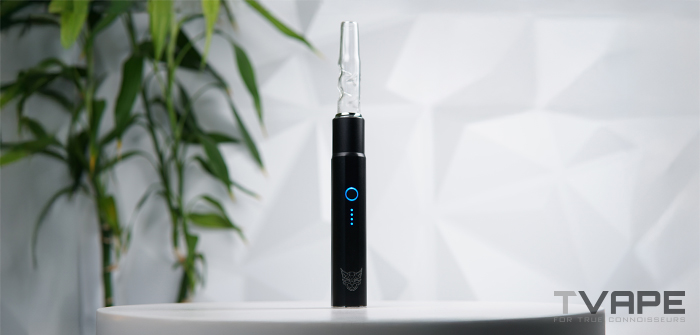 Calidad del Vapor Linx Saber