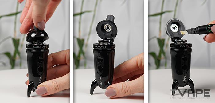 Cómo utilizar la pluma de cera Lookah Ant