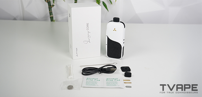 Vaporizador de hierbas secas AirVape Legacy Core: contenido del embalaje